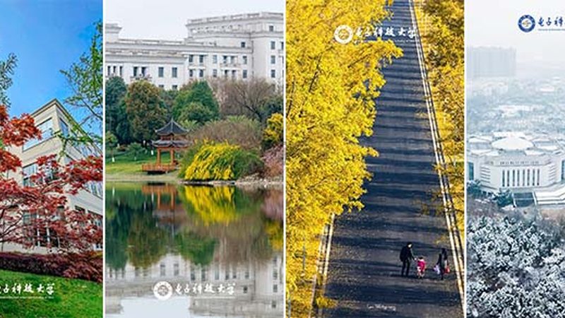 四川电子模块代理加盟，揭秘价格背后的考量因素