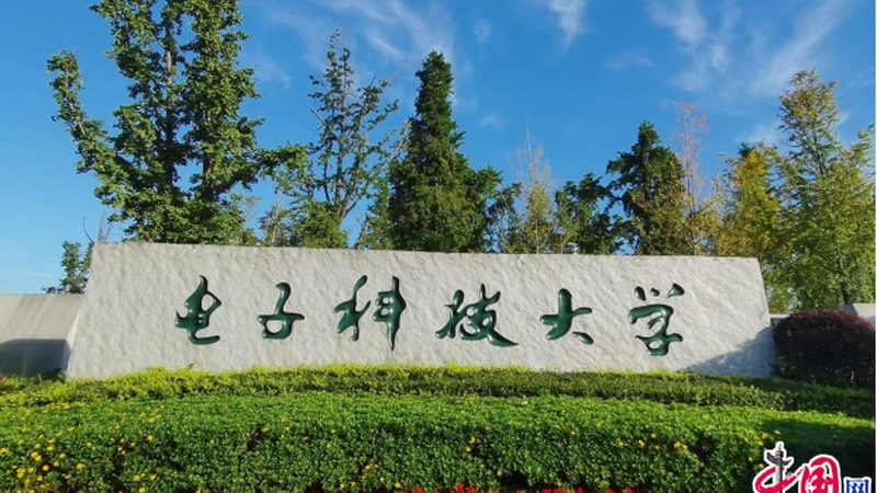 揭秘深圳线路板加工流程：从设计到报价全解析